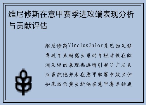 维尼修斯在意甲赛季进攻端表现分析与贡献评估