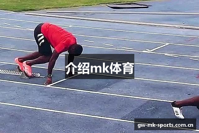 介绍mk体育